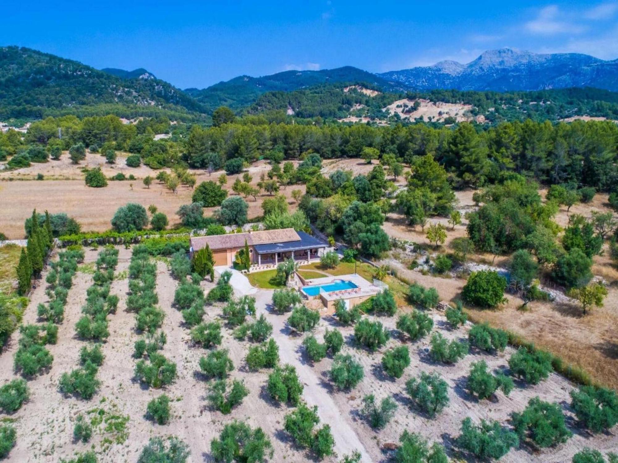 Rural In Mallorca Ses Comes With Pool